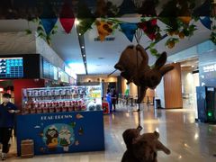 -博纳国际影城IMAX(中央大道店)