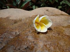 -厦门日月谷温泉渡假村