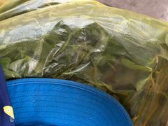 -马陆小张葡萄园农家乐