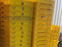 -老袁家蜜桃农场·阳山水蜜桃