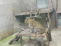 -西安秦岭野生动物园