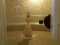 android_upload_pic-月亮河温泉度假酒店