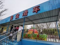 -朝阳公园游乐园