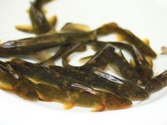 -锦河别院酒楼
