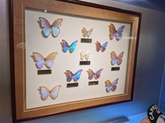 -上海昆虫博物馆