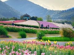 -径山花海