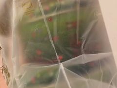 8MIX-珍妮曲奇聪明小熊(上环店)