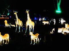 -南宫温泉水世界