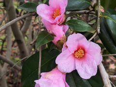 -杭州西湖风景名胜区-钱祠表忠