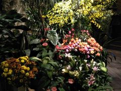 -春暖花开(西溪店)