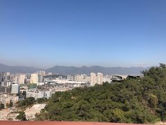 -金鸡山公园