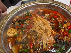 -肥家大排档(天河体育西店)