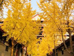 -大明幻境第一城