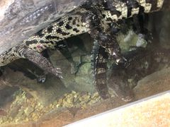 -波塞冬旅游度假区