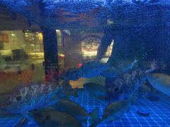 -湛江海鲜食府(一号路店)