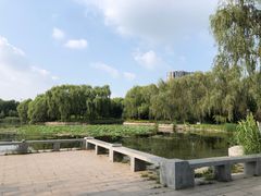 -望湖公园