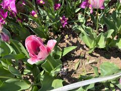 -国家植物园南园