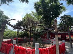 -泰山风景名胜区-普照寺