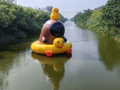 -黄海国家森林公园