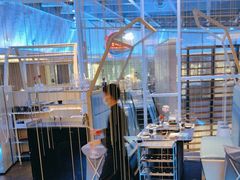 -王家渡火锅店(棕榈泉店)