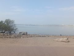 -宝安西湾红树林湿地公园