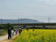 -光明小镇欢乐田园