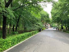 -长春市南湖公园