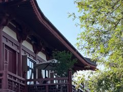 -莲西餐(曲江店)