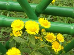 -中国建设银行(北京中关村分行)