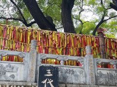 -大槐树寻根祭祖园