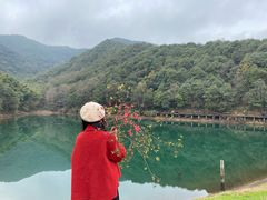 -午潮山国家森林公园