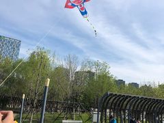 -长白岛森林公园