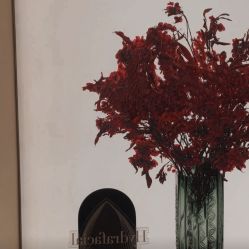 -Fundi张玉珊修身堂·indiba·BTL科技瘦身