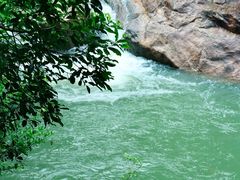 -广州白江湖森林公园