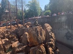 -昆明动物园