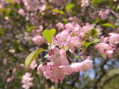 -浙江大学(玉泉校区)