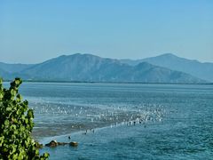 -深圳湾公园(南山区)