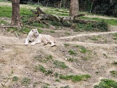 -杭州野生动物世界