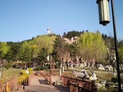 -鹦鹉寺公园