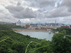 -四季美蚝皇