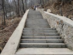 -大岭沟猕猴桃谷风景区
