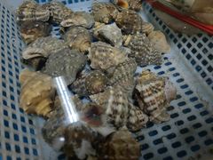 -老大连路特色烧烤(基隆路店)