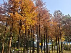 -晓港公园