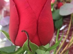 -宁波杉井奥特莱斯广场