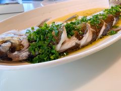 招牌清蒸钱塘江白条-柳莺湖上·湖景餐厅·江南菜(西湖店)