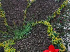 -南山植物园