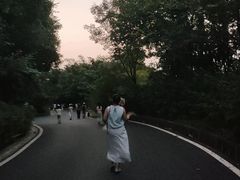 -广州市帽峰山景区