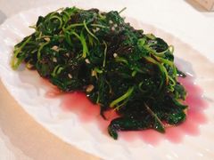 -云中小雅