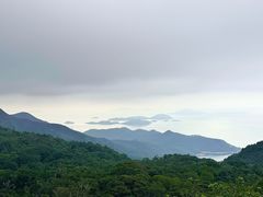 -大澳