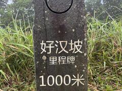 -梧桐山风景名胜区